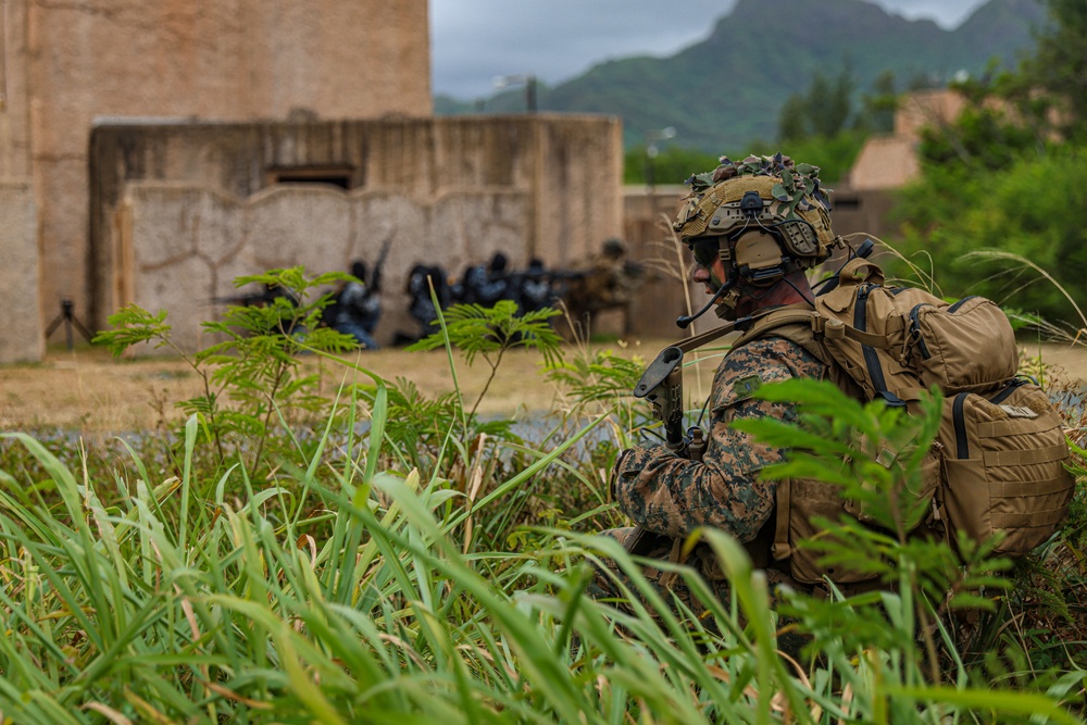 US Marines conduct air assault with partner forces during RIMPAC 2024