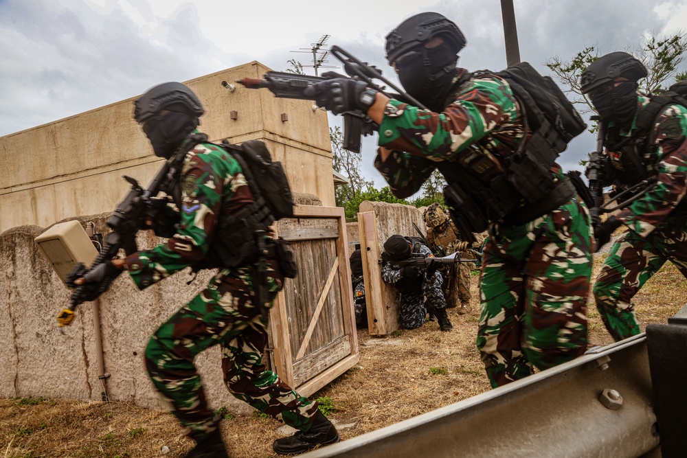 US Marines conduct air assault with partner forces during RIMPAC 2024