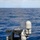 GUNEX | USS Gridley (DDG 101)