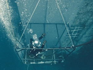 Pacific Pulse: June 13, 2024