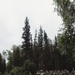 139th Security Forces practice FOOM