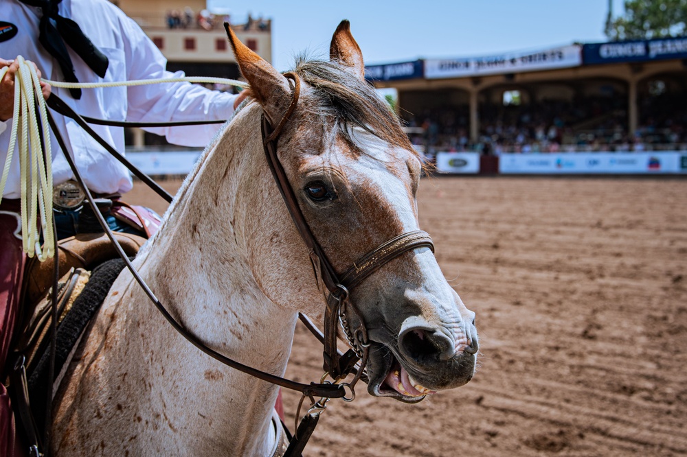 Pikes Peak or Bust Rodeo Air Force Academy Day