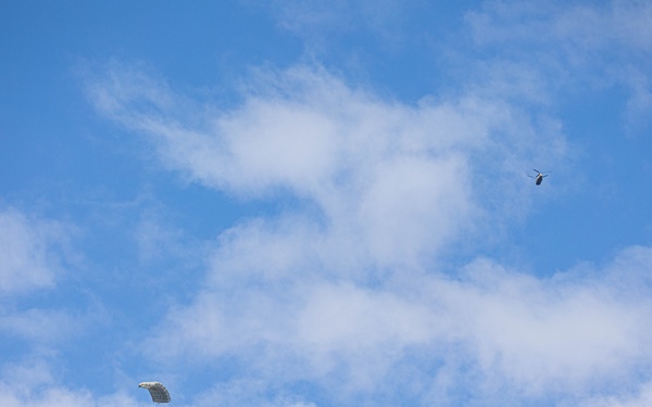 RIMPAC 2024: 25th CAB Supports Military Free Fall For U.S. Naval Special Operators and Allies