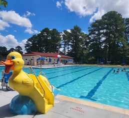 Beat the Heat, Stay Cool in the Pool