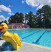 Beat the Heat, Stay Cool in the Pool