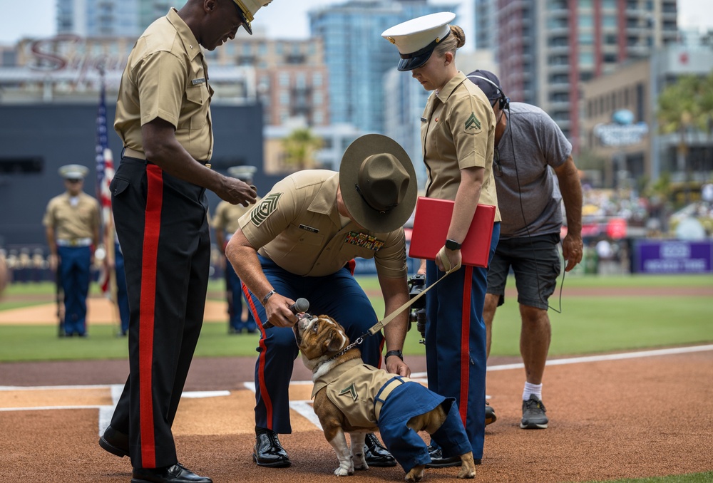 Military Salute to the Marine Corps