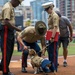 Military Salute to the Marine Corps