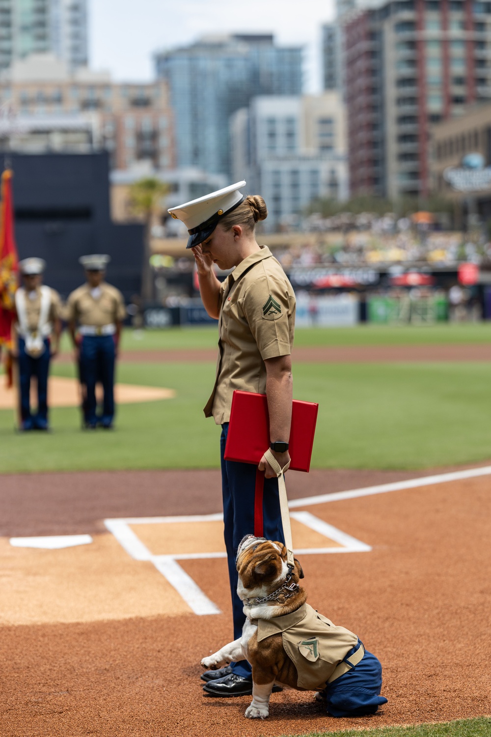 Military Salute to the Marine Corps