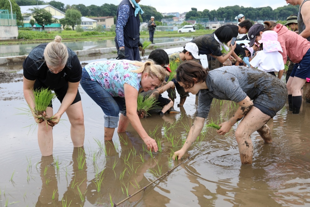 Rice-planting event connects Camp Zama residents with Japanese culture