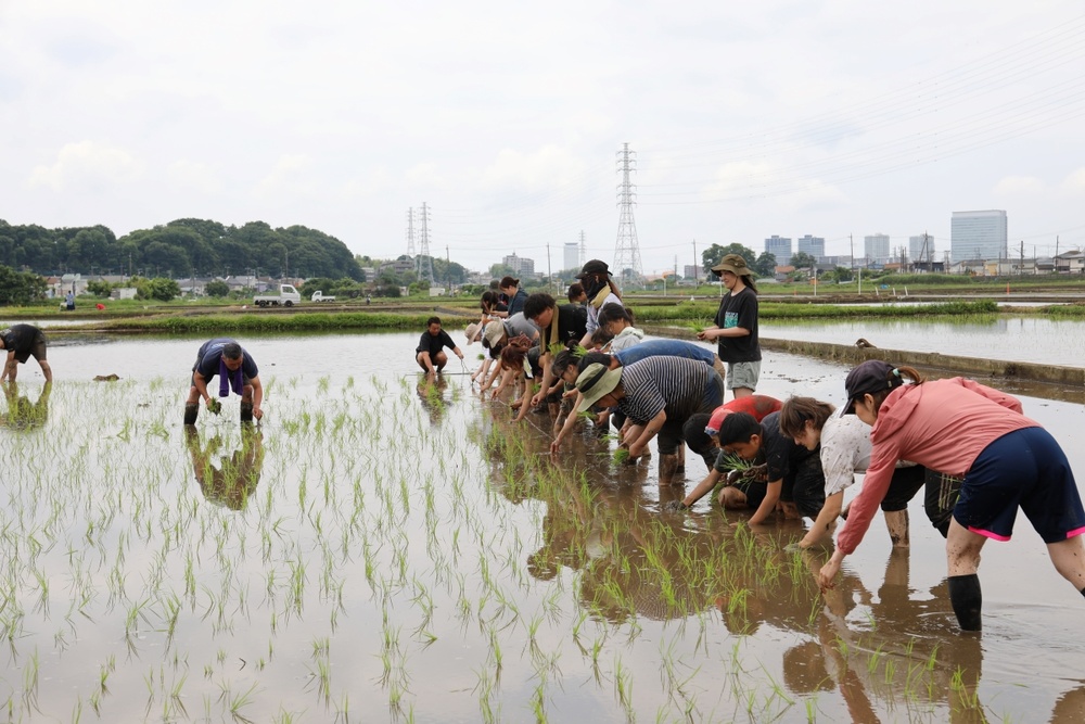 Rice-planting event connects Camp Zama residents with Japanese culture