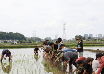 Rice-planting event connects Camp Zama residents with Japanese culture