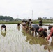 Rice-planting event connects Camp Zama residents with Japanese culture