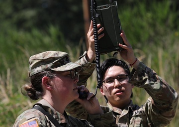 156 IO Battalion Conducts FST Olympics