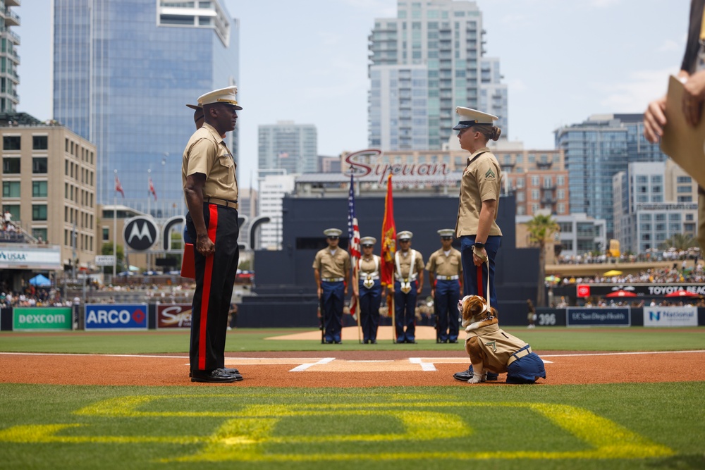 Military Salute to the Marine Corps