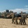 Mexico, ROK marines conduct functions checks on AAVs during RIMPAC 2024