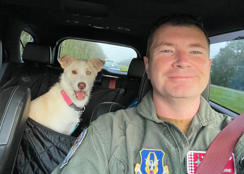 Reserve Citizen Airmen, rescue dog bring joy to community