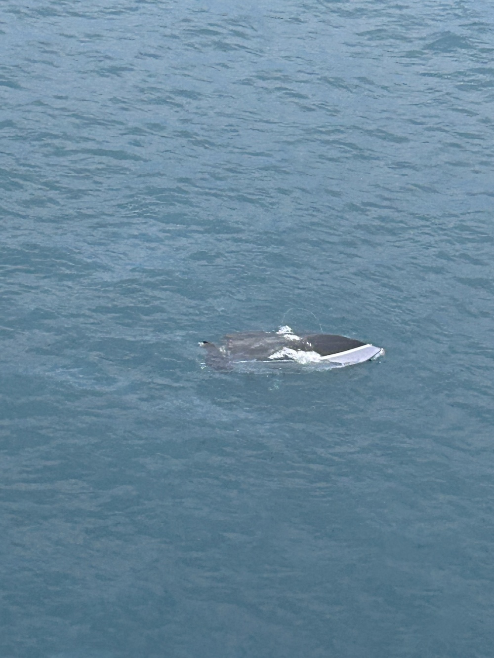 Coast Guard, partner agencies rescue one in Lake Michigan