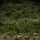 2nd Battalion, 4th Marine Regiment Marines enhance skills with EOTG raid leaders course 2nd Battalion, 4th Marine Regiment Marines enhance skills with EOTG raid leaders course
