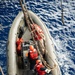 Nimitz Sailors Conduct Small Boat Operations