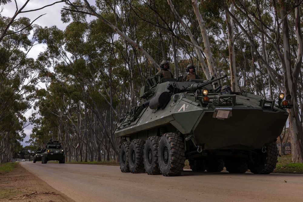 U.S. Marines with 1st LAR Bn. prepare weapon systems for Exercise Predator’s Run 24