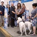 Navy Exchange Yokosuka Re-opens NEX Kennel