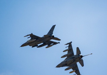 Unleashing Thracian Viper 24