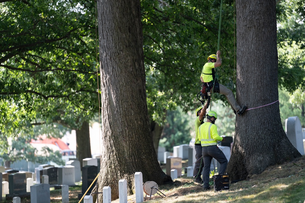 National Association of Landscape Professionals’ Annual Renewal and Remembrance Event 2024