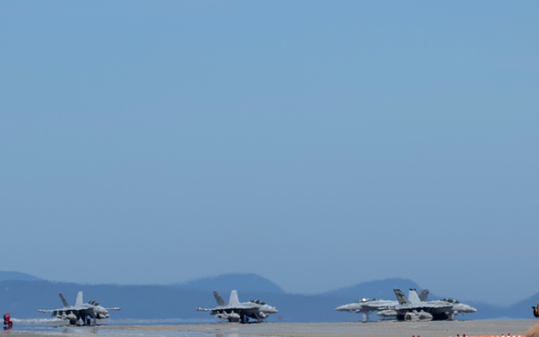 VAQ-130 Homecoming