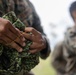 U.S. Marines participate in swim qualification during the Colombian Fluvial Operations Course.