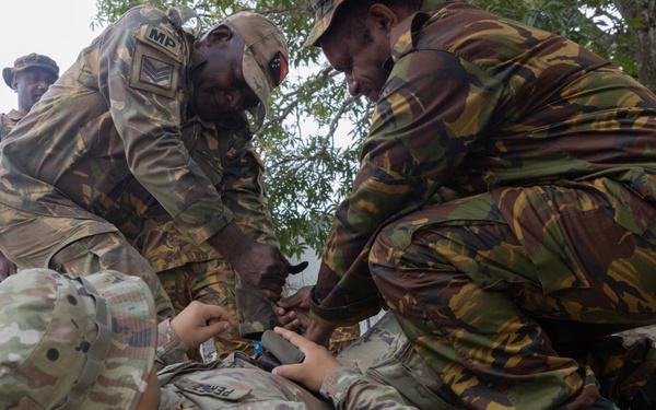 8th MPs conduct law enforcement training with PNGDF