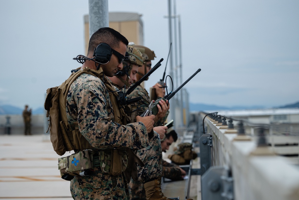 5th ANGLICO &amp; JGSDF | conduct simulated CAS