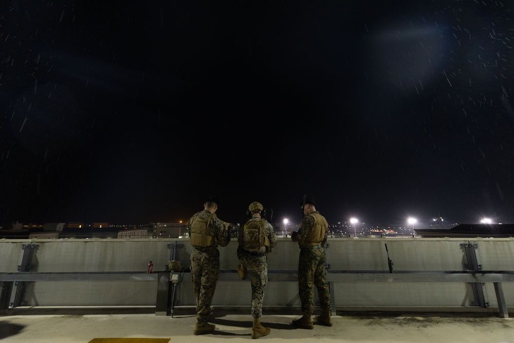 5th ANGLICO &amp; JGSDF | conduct simulated CAS