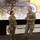 Sgt. Maj. Hilaria Taylor Lateral Promotion Ceremony