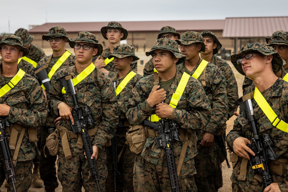 Alpha Company Grass week