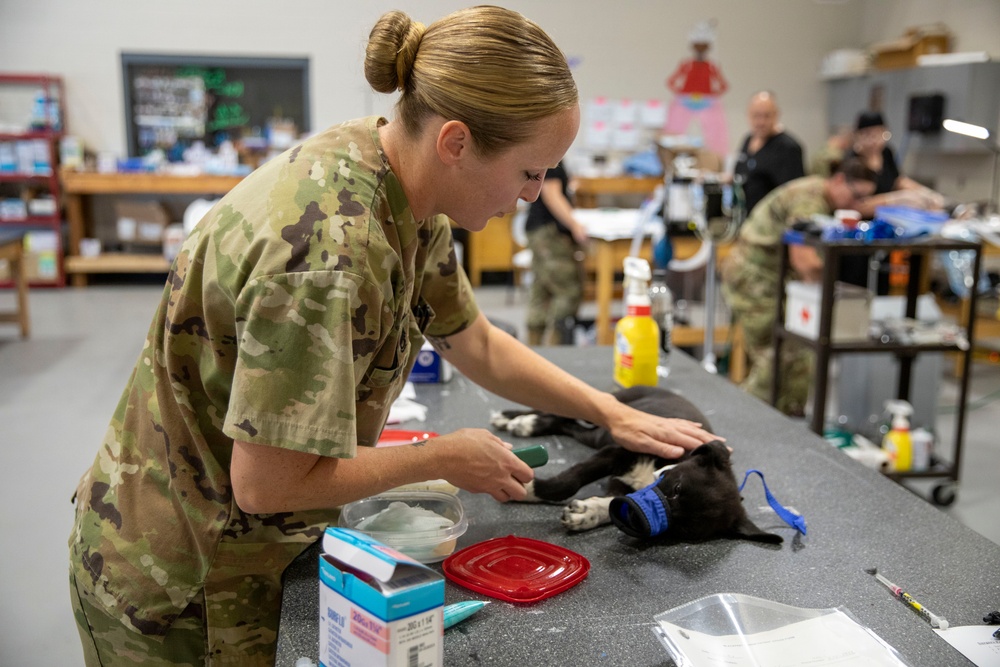 Veterinary Services Blackfeet Tribal Health Operation Walking Shield