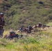 Charlie Co., BLT 1/5 conduct live-fire range, squad rehearsals