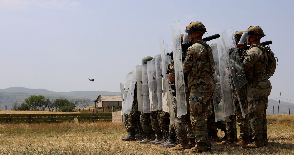 Eagle Partner 24: Peacekeeping Operations Training