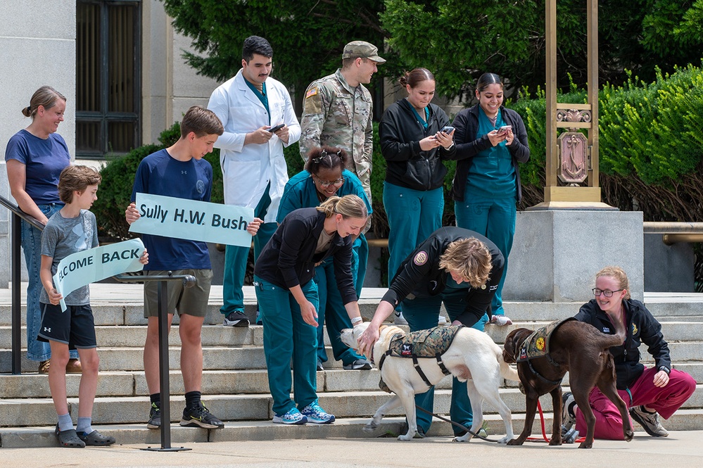 Sully Returns to Walter Reed