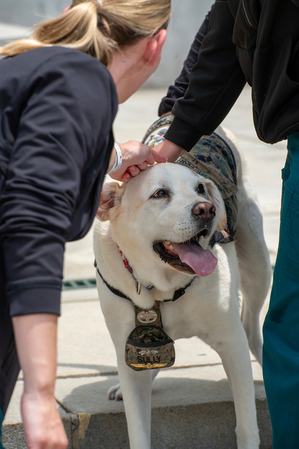 Sully Returns to Walter Reed