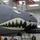 A-10C Thunderbolt II becomes a Flying Tiger