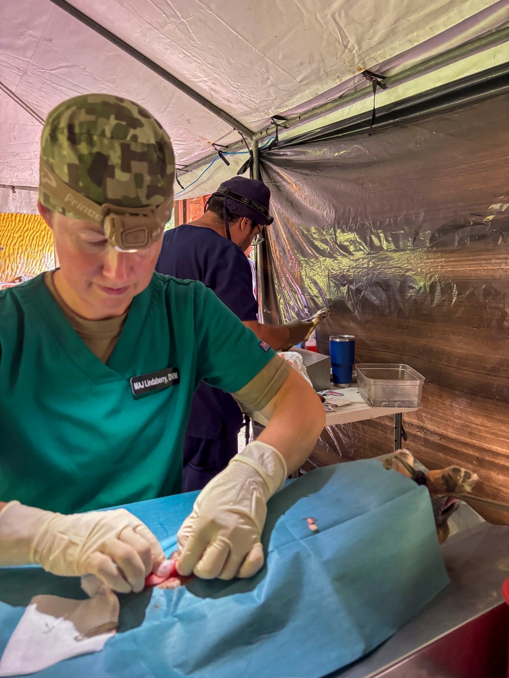 Continuing Promise 2024 veterinary professionals provide care in a remote Costa Rican community