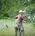 NMCB 133 Conducts Homeport Operations