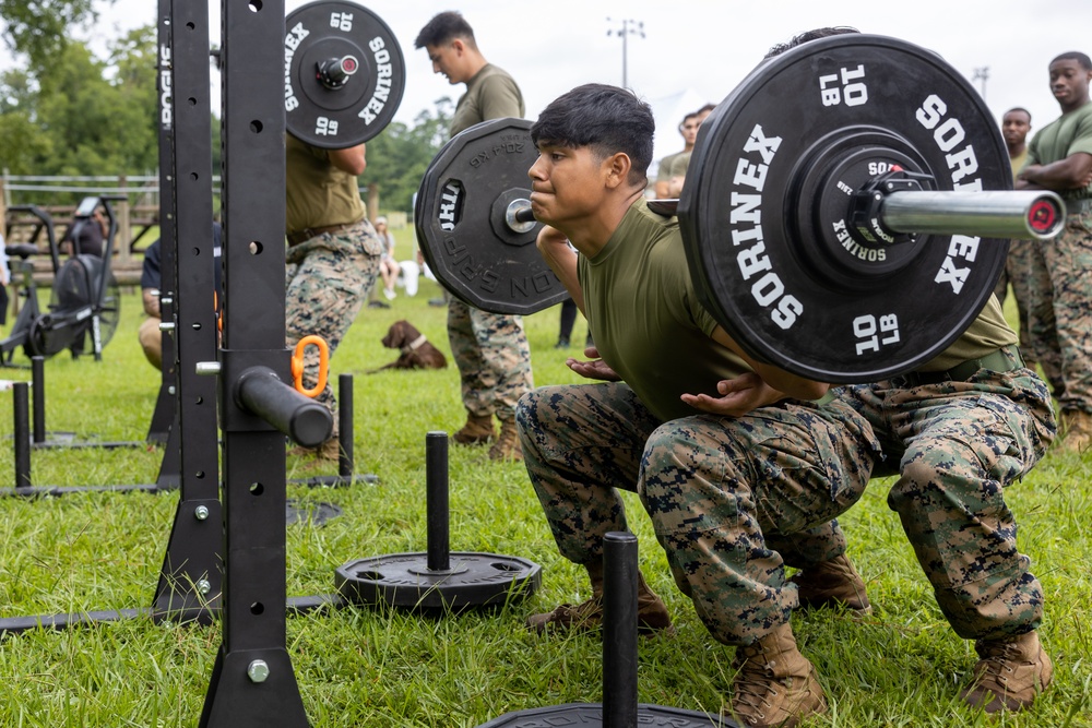 Fittest of 2nd Marine Logistics Group