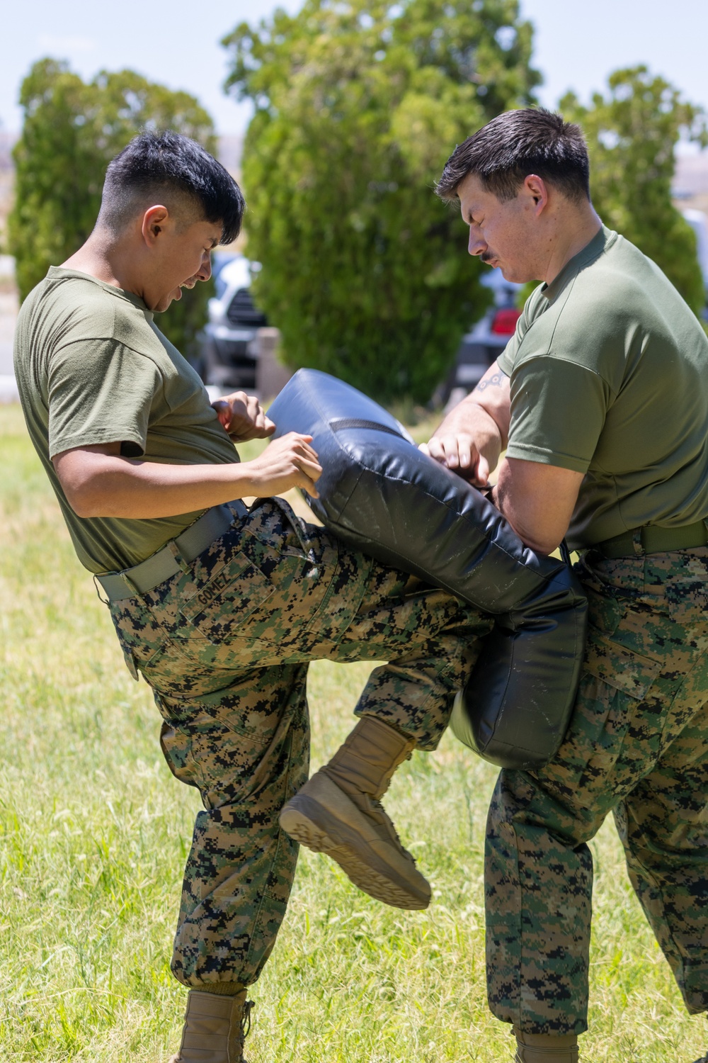 Security Augmentation Force (SAF) Training