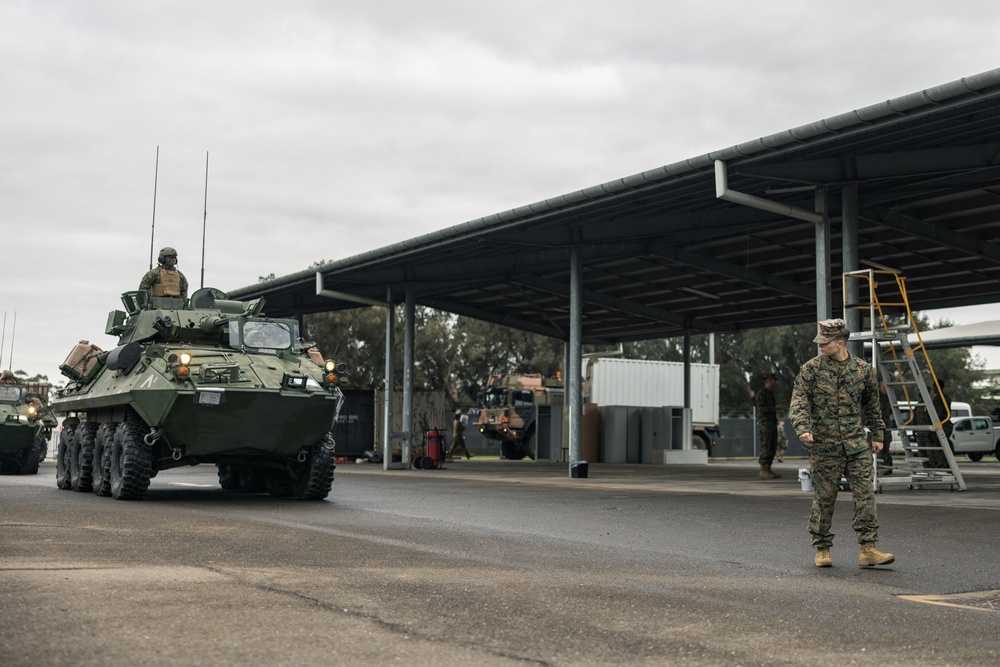 U.S. Marines with 1st LAR Bn. load LAV’s for Exercise Predator’s Run 24