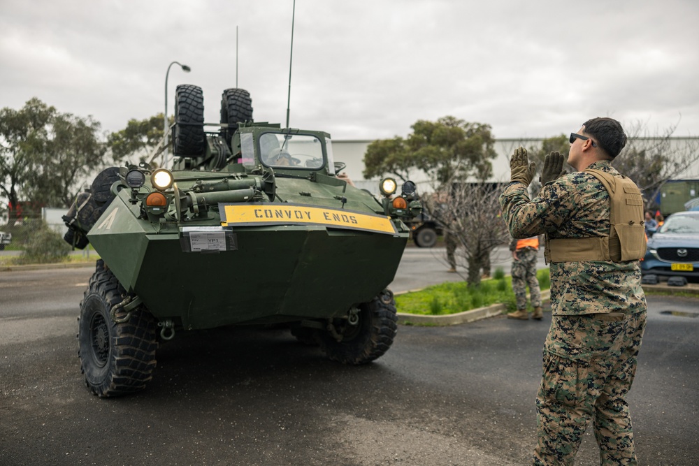 U.S. Marines with 1st LAR Bn. load LAV’s for Exercise Predator’s Run 24