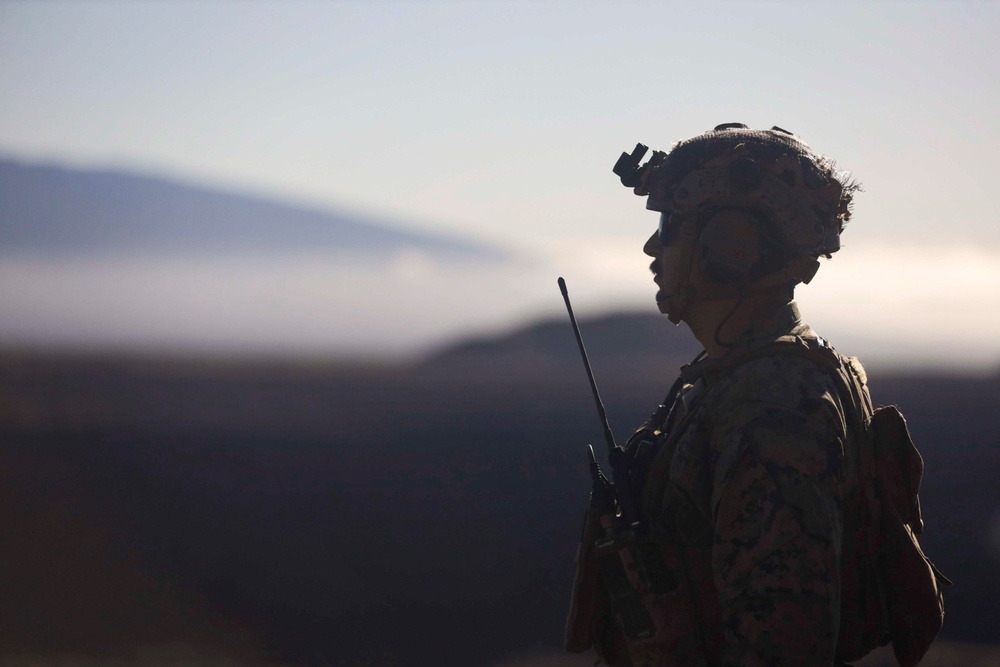 Precision and Coordination: 15th MEU JTACs Host CASEX at PTA