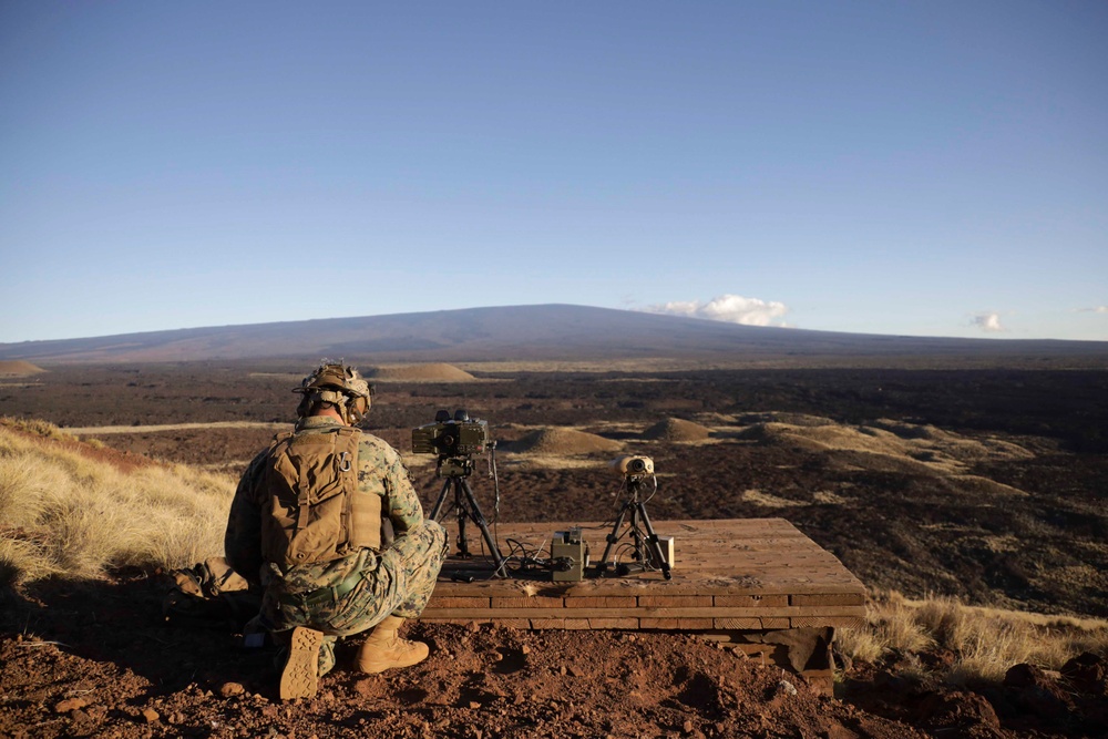 Precision and Coordination: 15th MEU JTACs Host CASEX at PTA