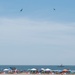 A-10 Demo - Bethpage Air Show