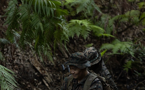 5th ANGLICO | CERTEX 24.3: Patrols